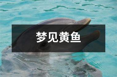 <h3>梦见黄鱼