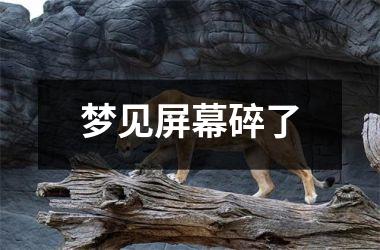 <h3>梦见屏幕碎了