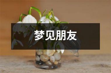 <h3>梦见朋友
