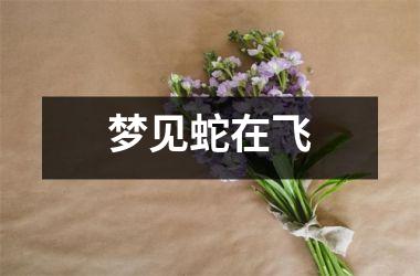 <h3>梦见蛇在飞
