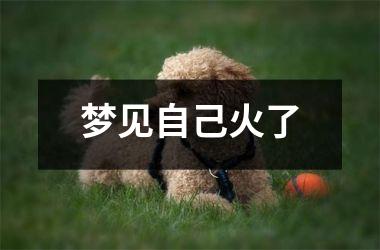 梦见自己火了