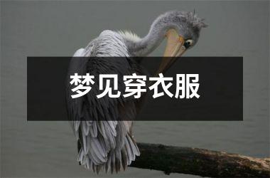 <h3>梦见穿衣服