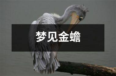 <h3>梦见金蟾