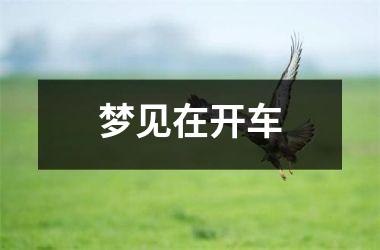 <h3>梦见在开车