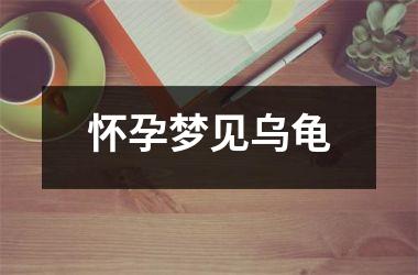 <h3>怀孕梦见乌龟