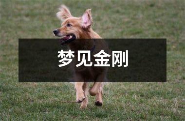 <h3>梦见金刚
