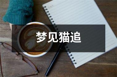 <h3>梦见猫追