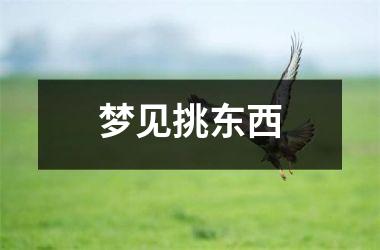 <h3>梦见挑东西