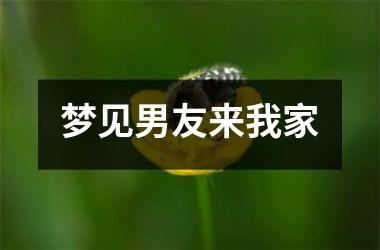 <h3>梦见男友来我家