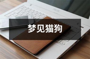 <h3>梦见猫狗