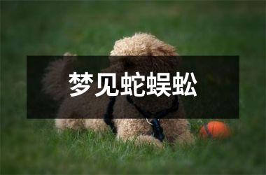<h3>梦见蛇蜈蚣