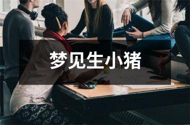 <h3>梦见生小猪