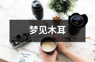 <h3>梦见木耳