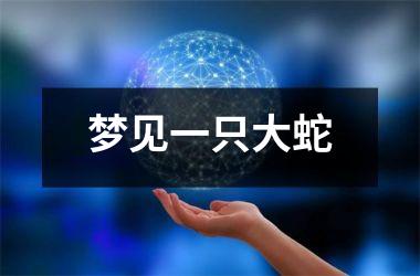 <h3>梦见一只大蛇