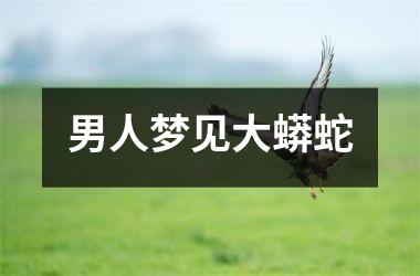 <h3>男人梦见大蟒蛇