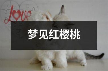 <h3>梦见红樱桃