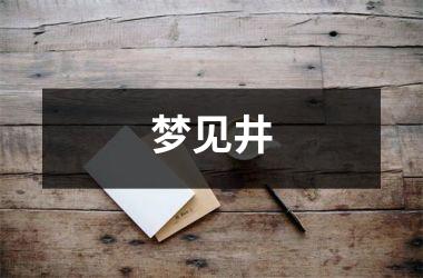 <h3>梦见井
