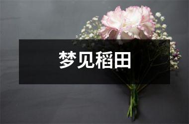 <h3>梦见稻田