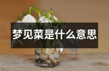 <h3>梦见菜是什么意思
