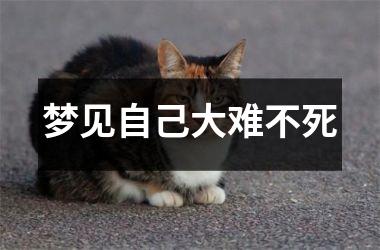 <h3>梦见自己大难不死