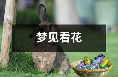 <h3>梦见看花