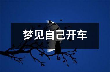 <h3>梦见自己开车