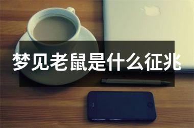<h3>梦见老鼠是什么征兆