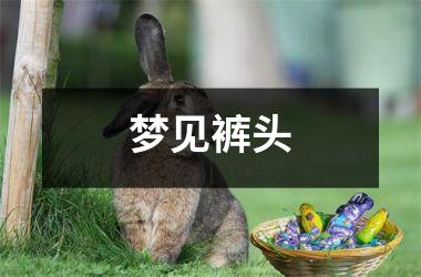 <h3>梦见裤头