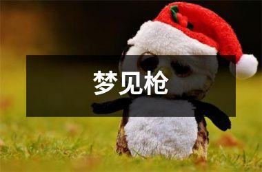 <h3>梦见枪