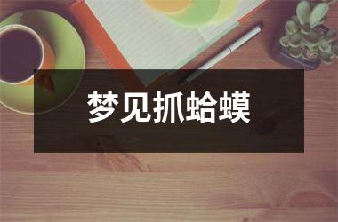 <h3>梦见抓蛤蟆