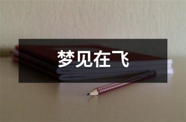 <h3>梦见在飞