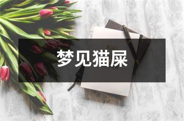 <h3>梦见猫屎