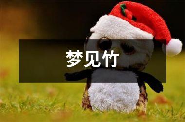 <h3>梦见竹