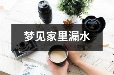 <h3>梦见家里漏水