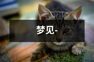 <h3>梦见-