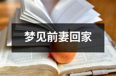 梦见前妻回家