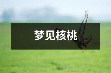 <h3>梦见核桃