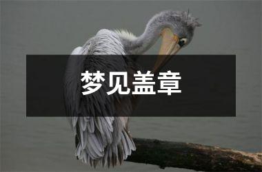 <h3>梦见盖章
