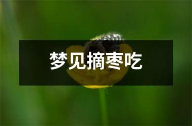 梦见摘枣吃