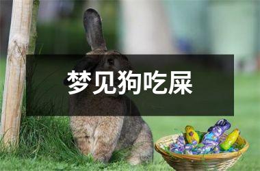 <h3>梦见狗吃屎