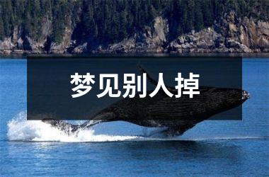 <h3>梦见别人掉