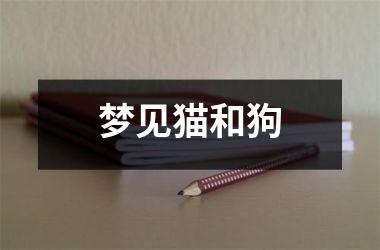 <h3>梦见猫和狗