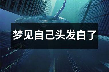 <h3>梦见自己头发白了