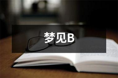 <h3>梦见B