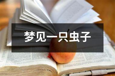 <h3>梦见一只虫子