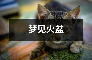<h3>梦见火盆