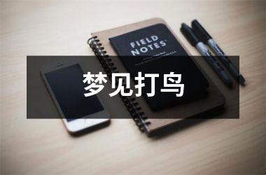 <h3>梦见打鸟