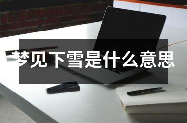 <h3>梦见下雪是什么意思