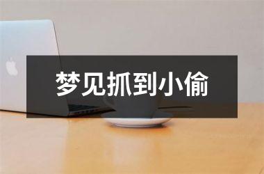 <h3>梦见抓到小偷