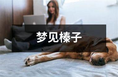 <h3>梦见榛子